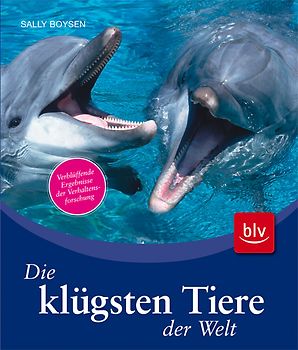 Die klügsten Tiere der Welt