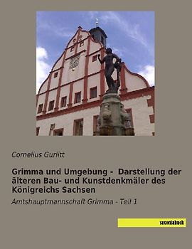 Grimma und Umgebung -  Darstellung der älteren Bau- und Kunstdenkmäler des Königreichs Sachsen