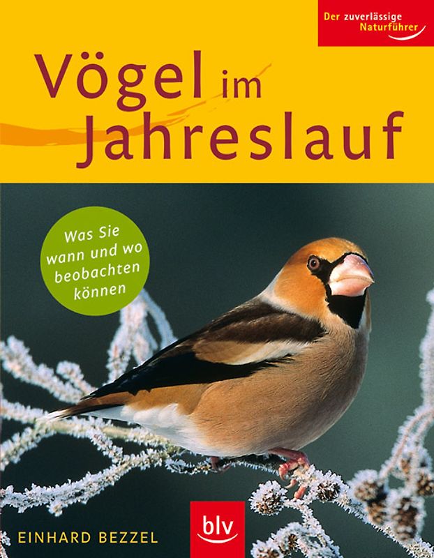 Vögel im Jahreslauf