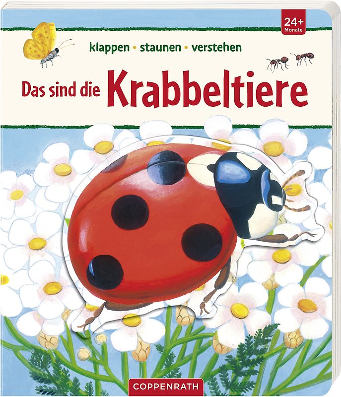 klappen - staunen - verstehen: Das sind die Krabbeltiere