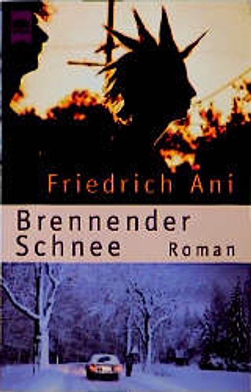 Brennender Schnee. Roman