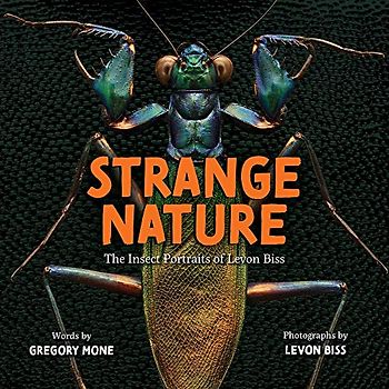 Strange Nature: The Insect Portraits of Levon Biss