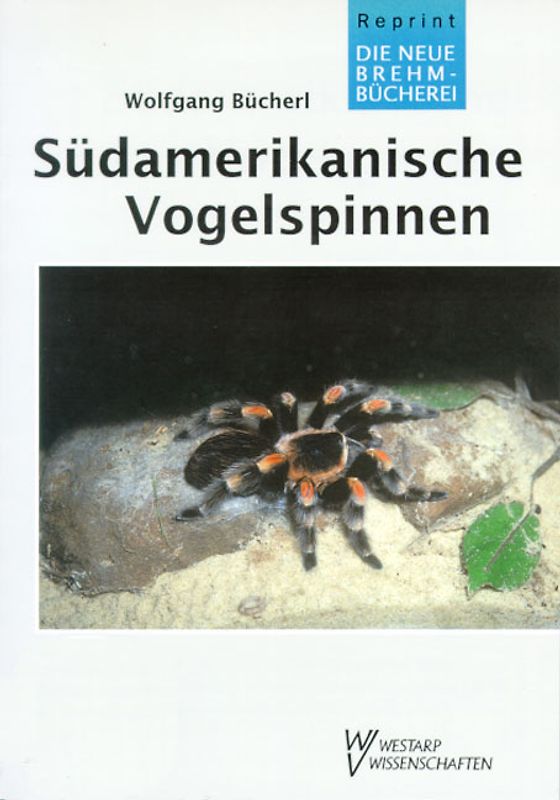 Südamerikanische Vogelspinnen