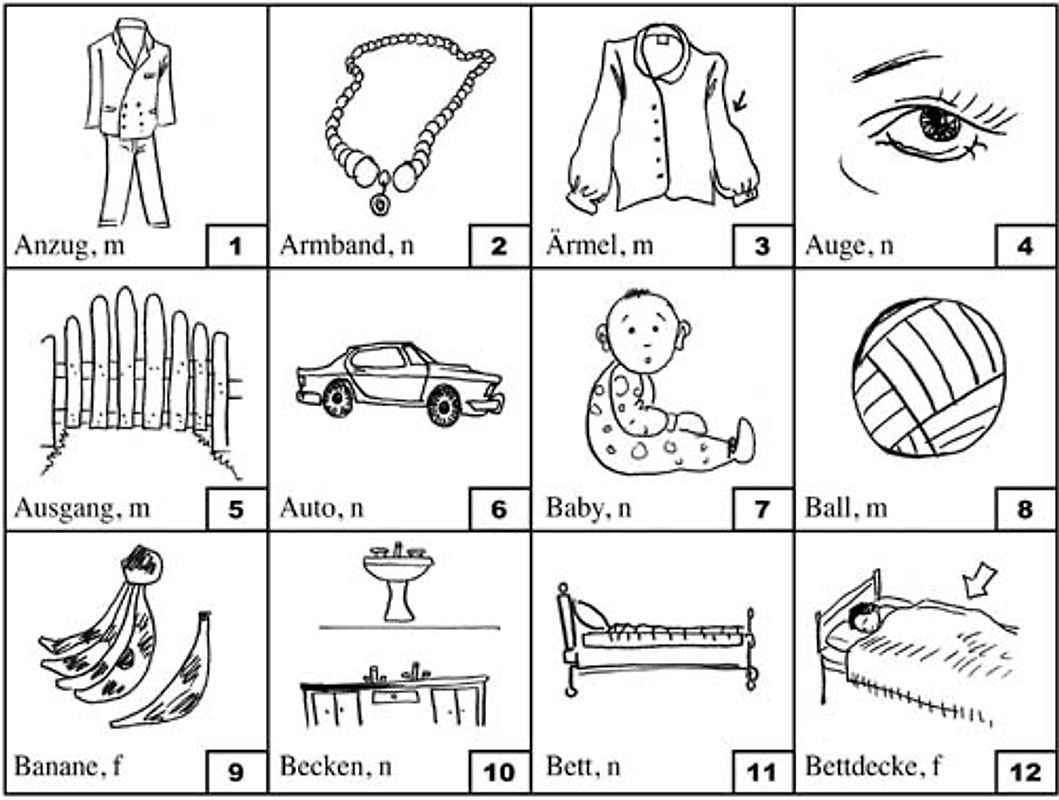 Trainer Grundwortschatz