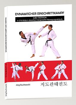 Dynamischer Einschrittkampf Ilbo Taeryon