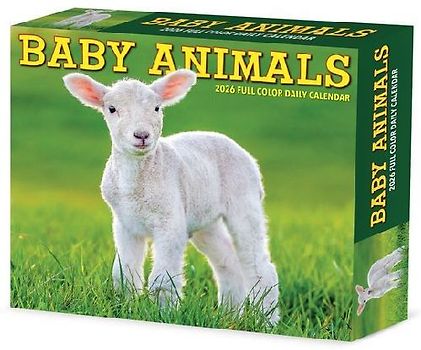 Baby Animals 2026 5.4 X 6.2 Box Calendar