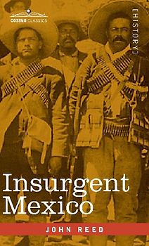 Insurgent Mexico