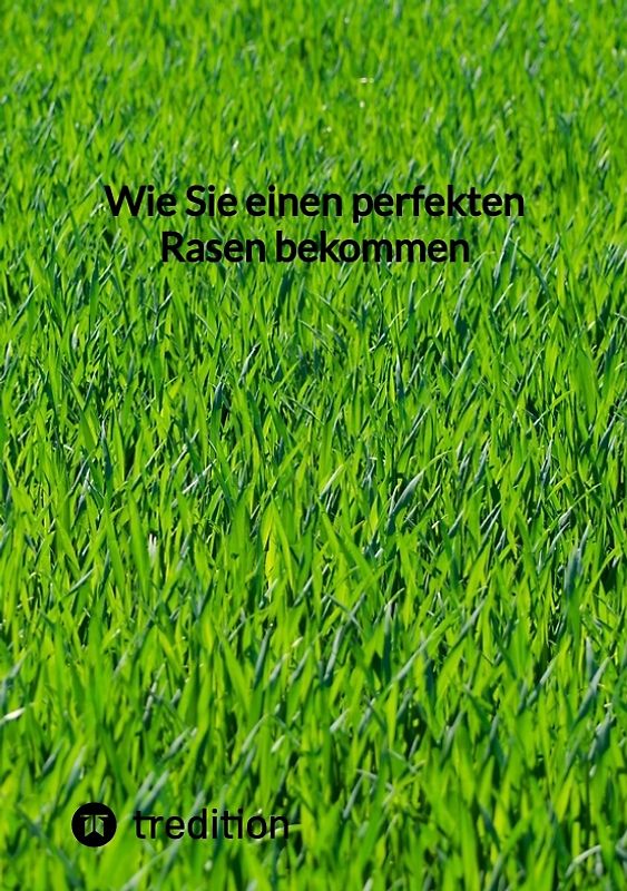 Wie Sie einen perfekten Rasen bekommen