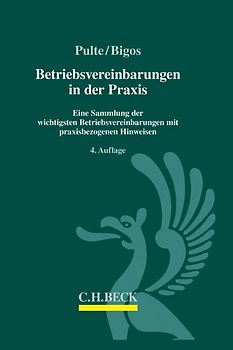 Betriebsvereinbarungen in der Praxis