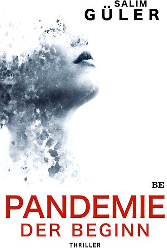 Pandemie - Der Beginn