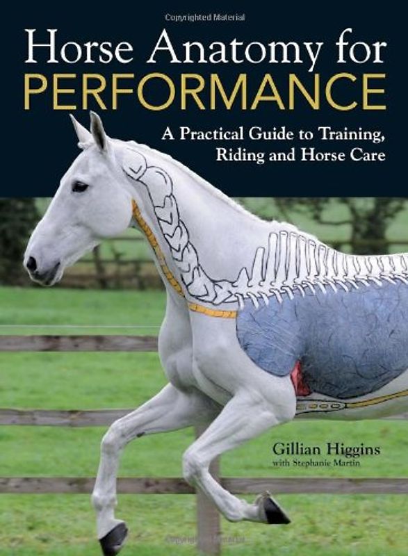 Horse Anatomy for Performance - Higgins, Gillian
