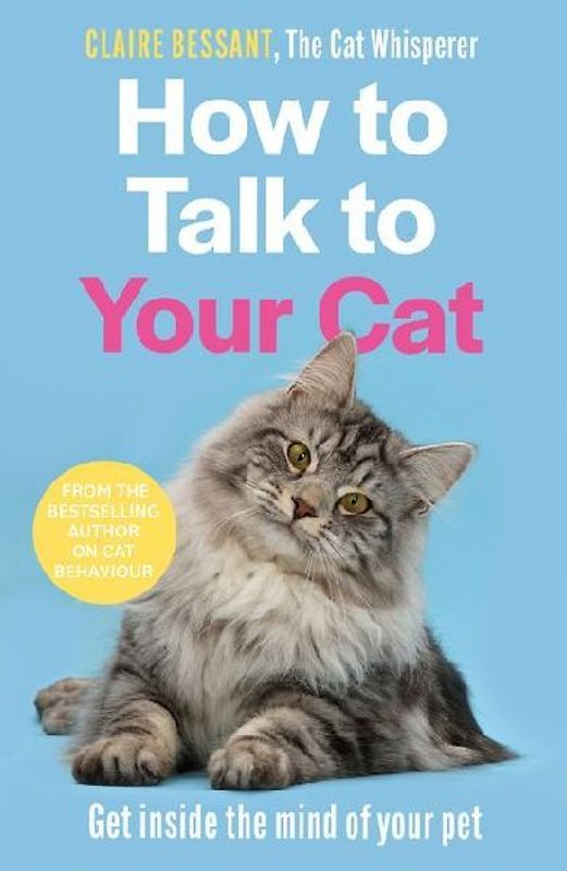 How to Talk to Your Cat