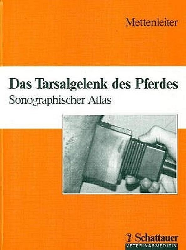 Das Tarsalgelenk des Pferdes