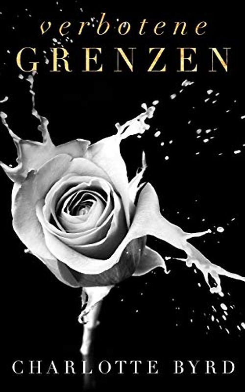 Verbotene Grenzen (Verbotene Begegnung, Band 5)