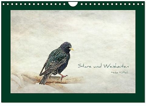 Lehigh River Paddling Guide