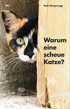 Warum eine scheue Katze?