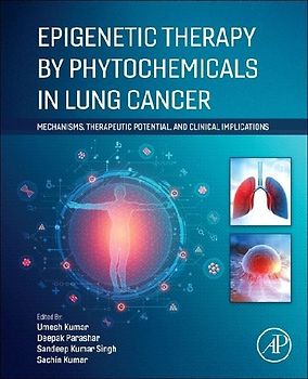 Epigenetic Therapy by Phytochemicals in Lung Cancer