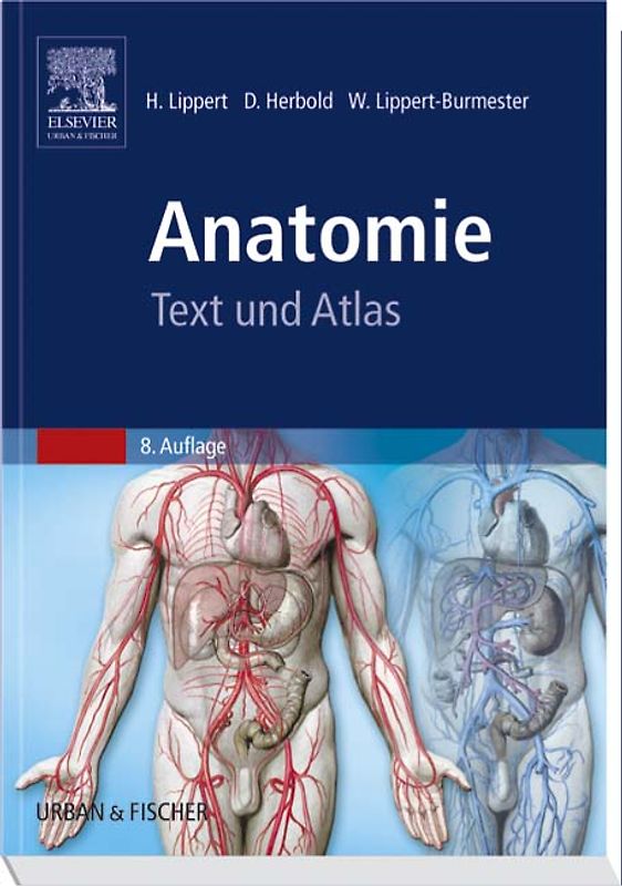 Anatomie