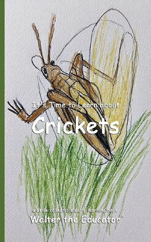 It's Time to Learn about Crickets