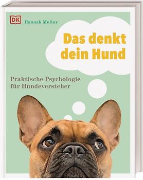Das denkt dein Hund