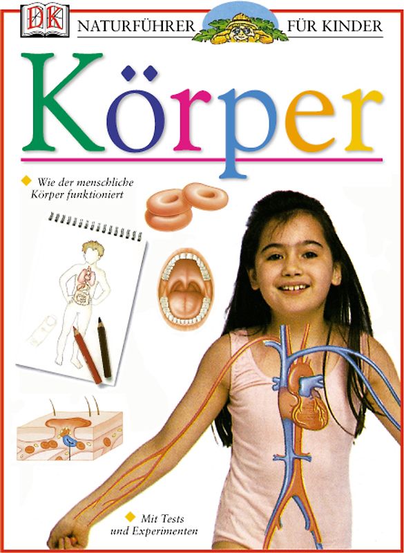 Körper