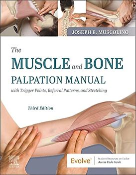 The Muscle and Bone