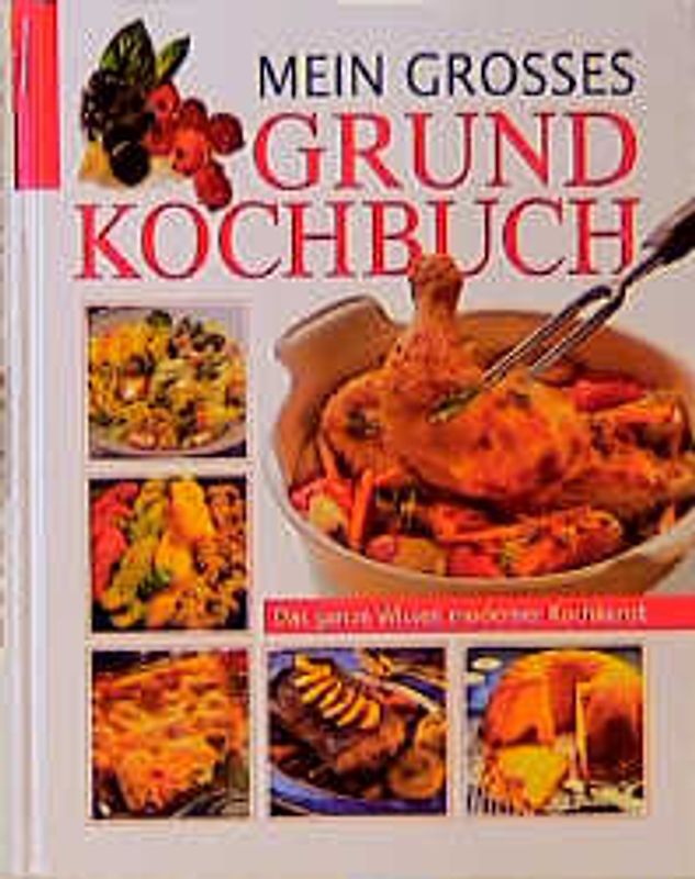 Grosses farbiges Grundkochbuch