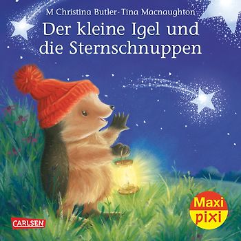 Maxi-Pixi Nr. 201: Der kleine Igel und die Sternschnuppen