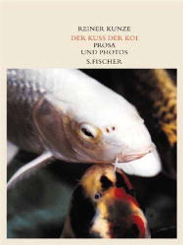 Der Kuß der Koi