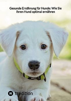 Gesunde Ernährung für Hunde: Wie Sie Ihren Hund optimal ernähren