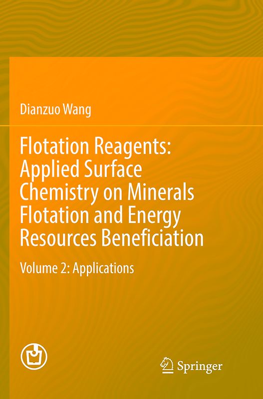 Flotation Reagents: Applied Surface Chemistry on Minerals Flotation and Energy Resources Beneficiation