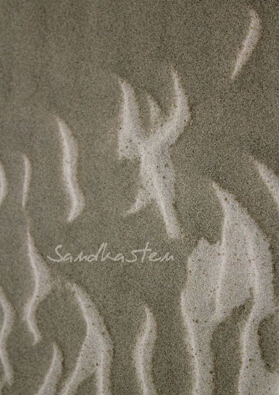 Sandkasten (Posterbuch DIN A4 hoch)