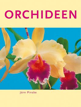 Orchideen