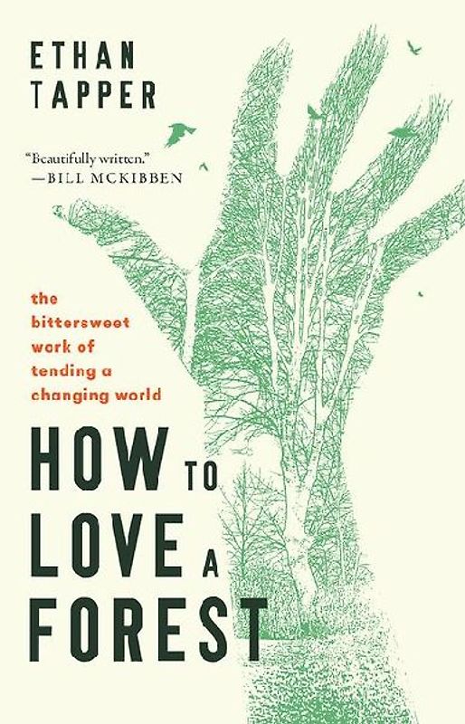 How to Love a Forest