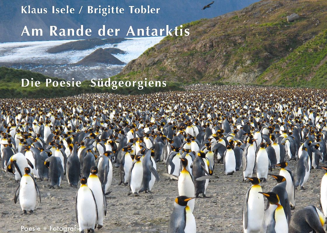 Am Rande der Antarktis