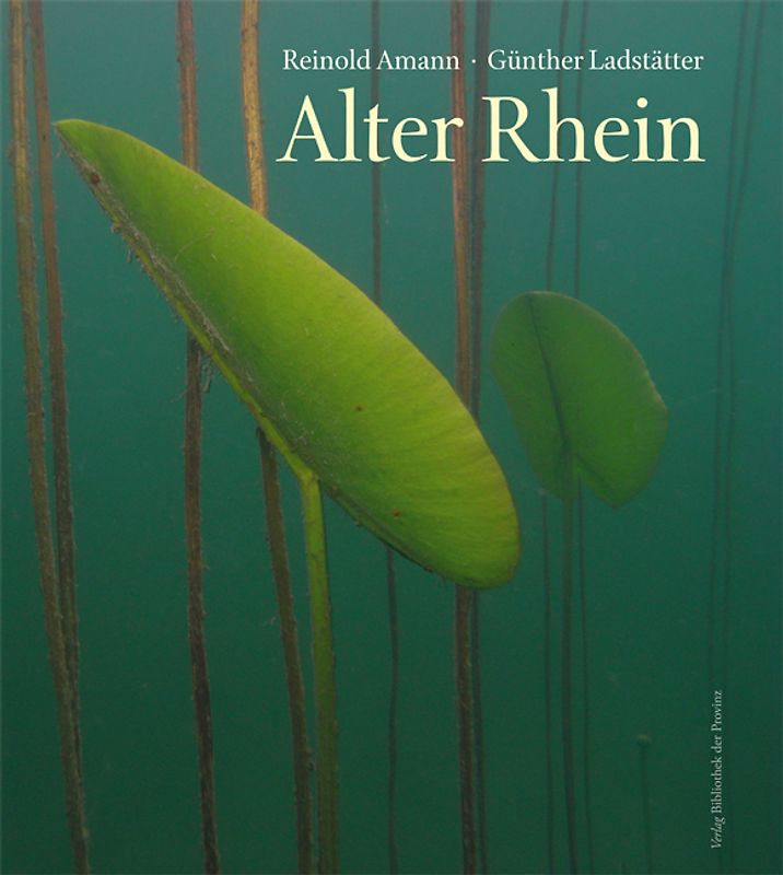 Alter Rhein