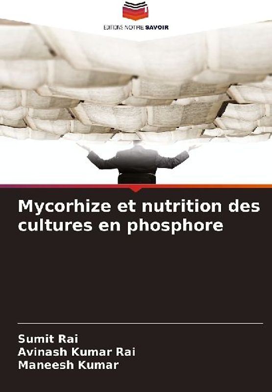 Mycorhize et nutrition des cultures en phosphore