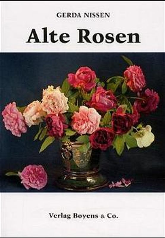 Alte Rosen