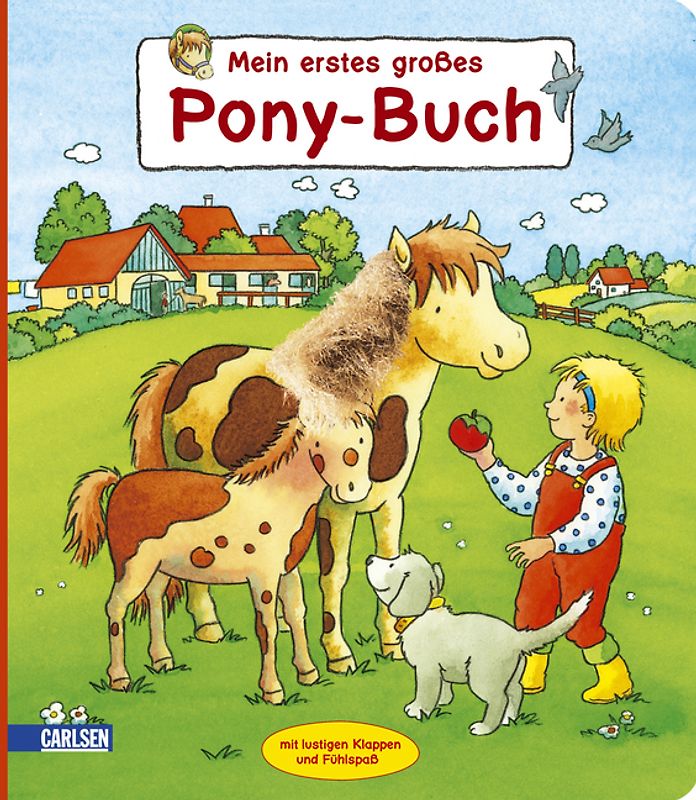 Mein erstes großes Pony-Buch