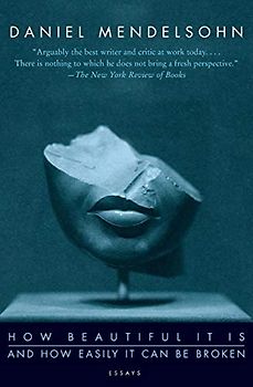 How Beautiful It Is And How Easily It Can Be Broken: Essays