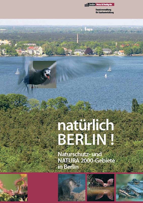 natürlich Berlin!