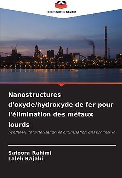 Nanostructures d'oxyde/hydroxyde de fer pour l'élimination des métaux lourds