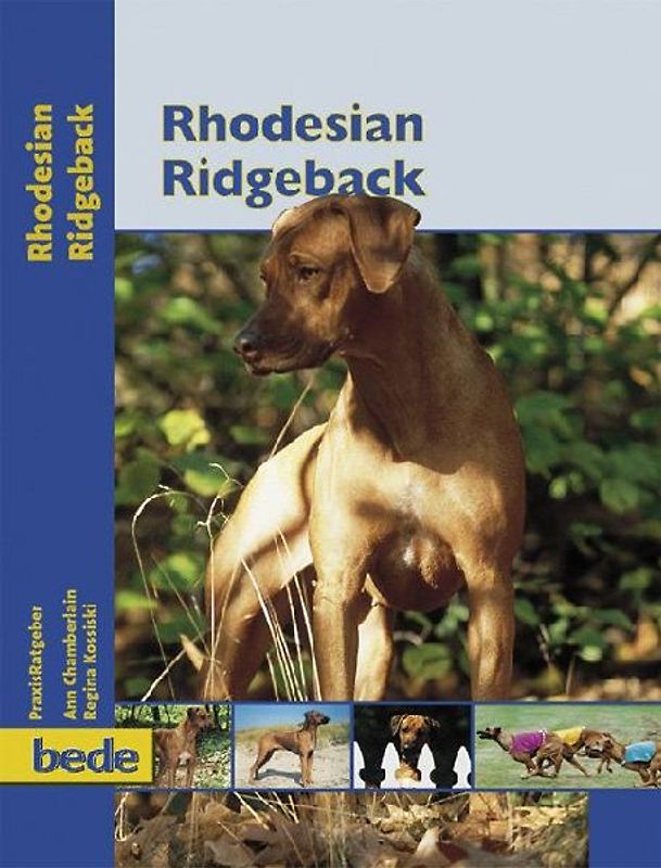 Rhodesian Ridgeback