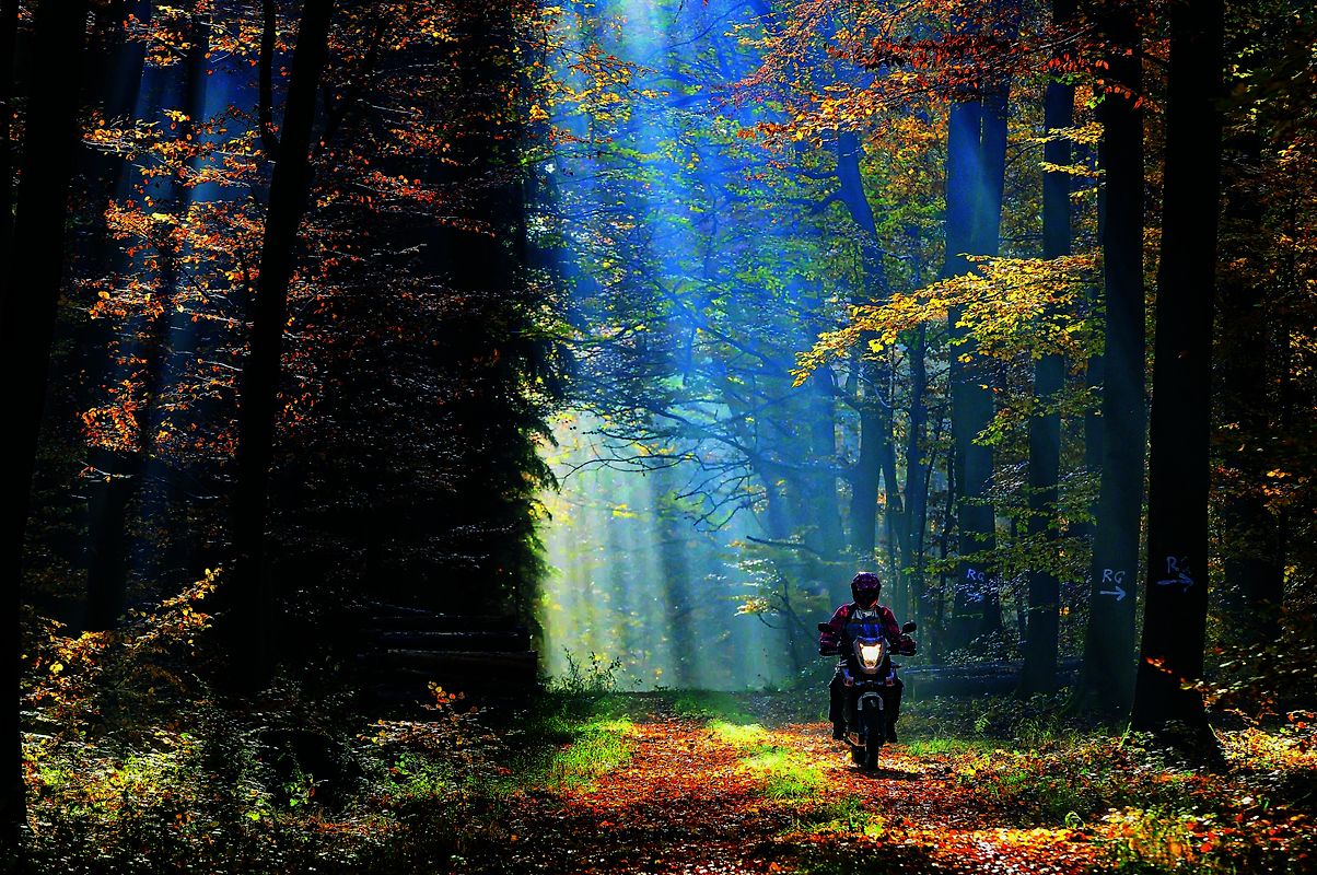 Sommer, Sonne, Kurvenzeit