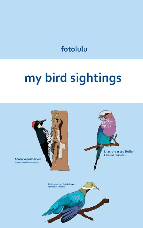 my bird sightings