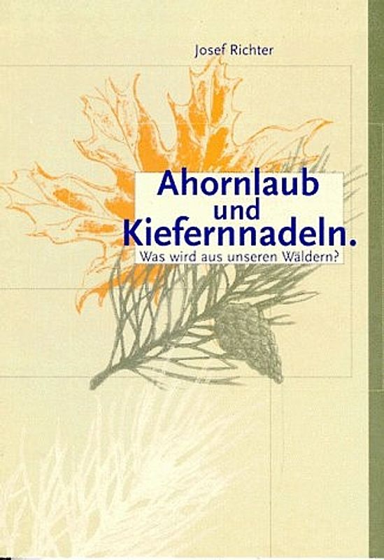 Ahornlaub und Kiefernnadeln