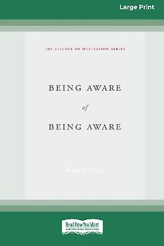 Being Aware of Being Aware (Large Print 16 Pt Edition)
