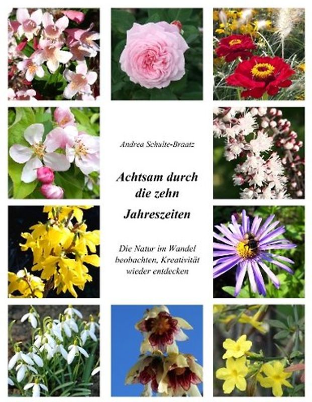 Achtsam durch die zehn Jahreszeiten