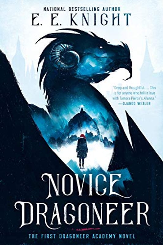 Novice Dragoneer (A Dragoneer Academy Novel, Band 1)
