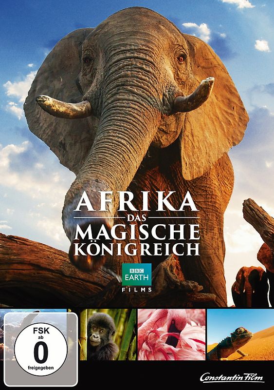 Afrika - Das magische Königreich DVD
